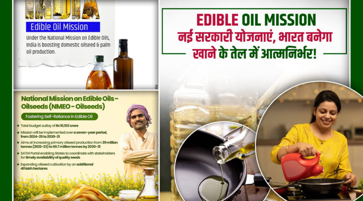 National Edible Oil Mission: देश की कड़ाही में अब होगा 'देशी' तेल, 2030 तक आधा होगा आयात, किसानों की बढ़ेगी आमदनी