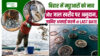 Fisheries Revolution: भारतीय मछली को मिली डिजिटल पहचान, अब सागर से थाली तक, हर मछली का चलेगा पूरा हिसाब!