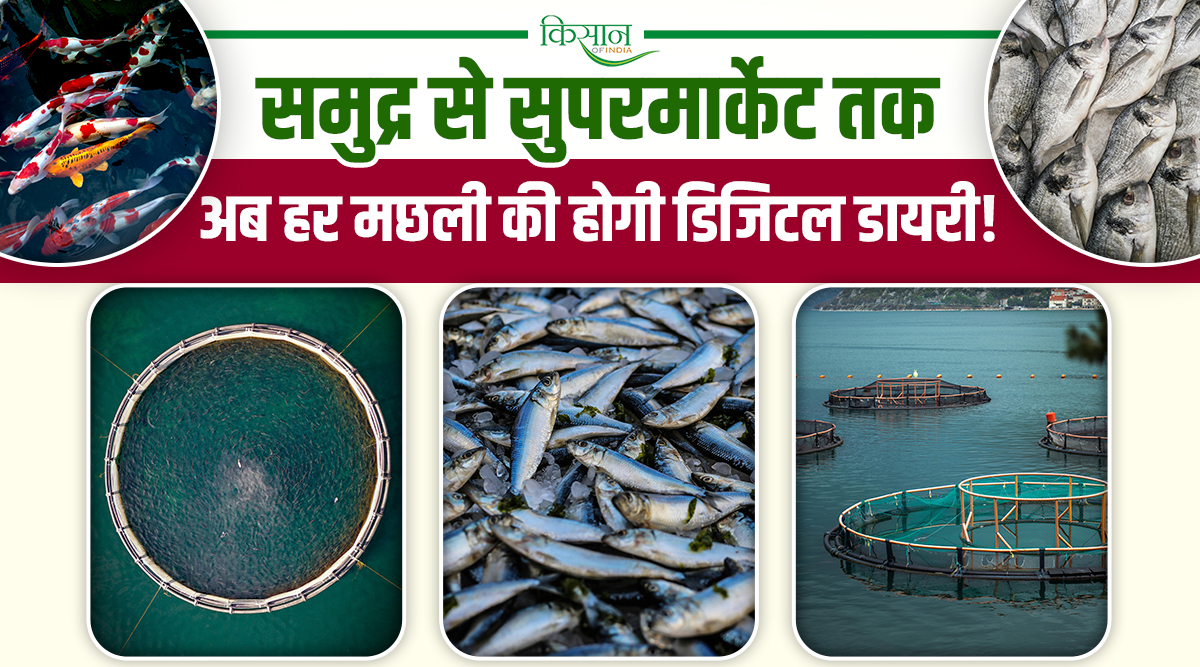 Fisheries Revolution: भारतीय मछली को मिली डिजिटल पहचान, अब सागर से थाली तक, हर मछली का चलेगा पूरा हिसाब!