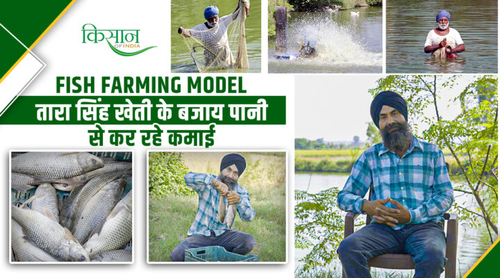 अमृतसर के किसान तारा सिंह अपने गांव में चला रहे सफल Fish Farm, मछली पालन बना इनकम का अच्छा सोर्स