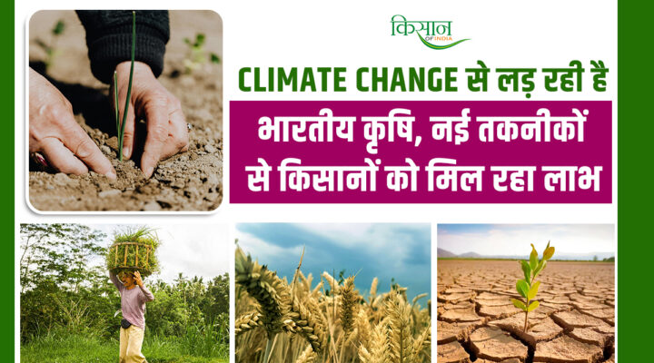 Climate Change: बदलते मौसम के थपेड़ों से बचाव कर रही भारतीय फसलें? जानिए कैसे खेती बना रही अपना ‘जलवायु कवच’