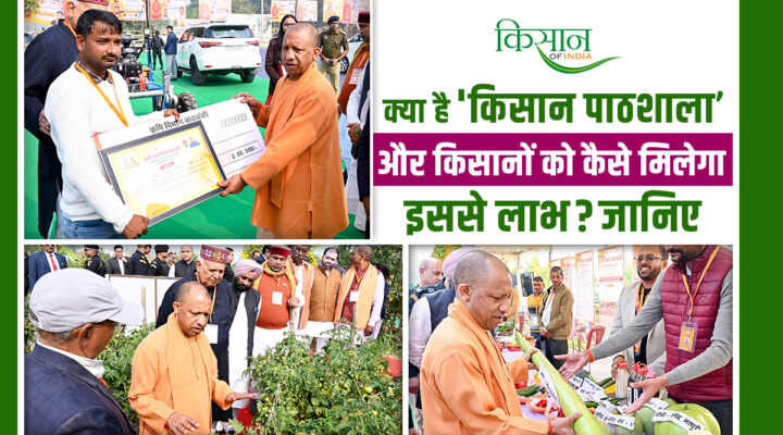 Kisan Pathshala: सीएम योगी ने की ‘किसान पाठशाला’ की शुरुआत, उन्नत बीज से लेकर मधुमक्खी पालन,रेशम पालन तक की फ्री ट्रेनिंग