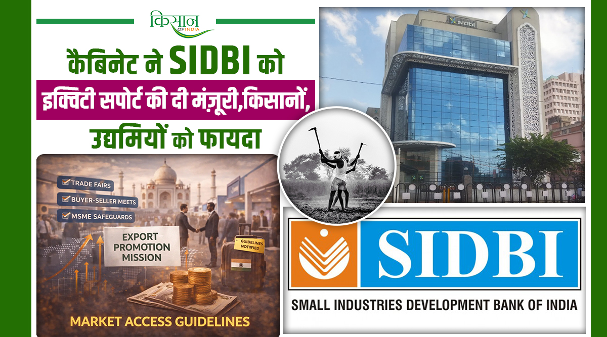 SIDBI से MSME सेक्टर को मिली बड़ी ताकत:अब किसान और छोटे व्यापारी पाएंगे बिना गिरवी आसान लोन!
