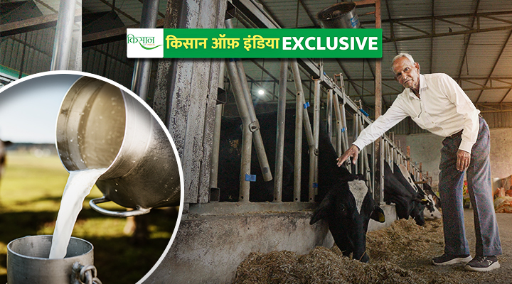Hi-Tech Dairy Farm