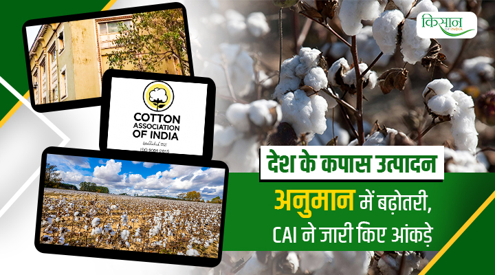 Cotton Market in India: भारत के कपास बाज़ार में बड़ा बदलाव, उत्पादन बढ़ा लेकिन खपत घटी, CAI का नया आकलन
