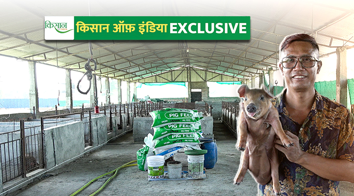 Pig Farming