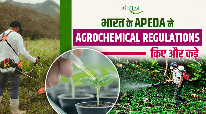 APEDA Rule: फ्रांस ने लगाई पांच केमिकल पर पूरी पाबंदी, अब ये फ़ल-सब्जियां नहीं होंगी एक्सपोर्ट