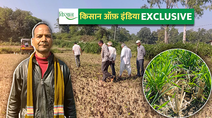 जीरो टिलेज मशीन zero tillage machine