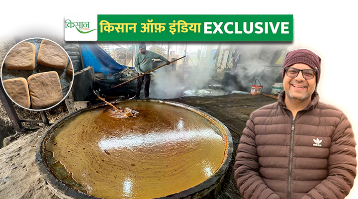 देसी गुड़ की पहचान