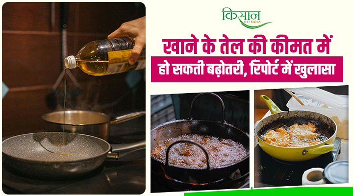 रसोई में हो सकती है Cooking Oil की कमी,अंतरराष्ट्रीय तनाव और मानसून ने बढ़ाई चिंता : SEA की चेतावनी