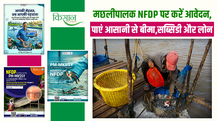 मछली पालन से बदल रही किस्मत: NFDP पर करें अप्लाई, सब्सिडी-लोन-बीमा एक जगह