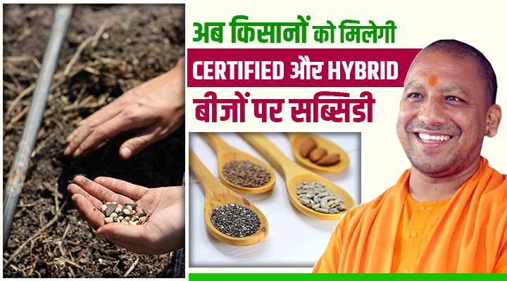 योगी सरकार का किसानों को तोहफा: Seed Schemes के लिए 450 करोड़ रुपये मंज़ूर