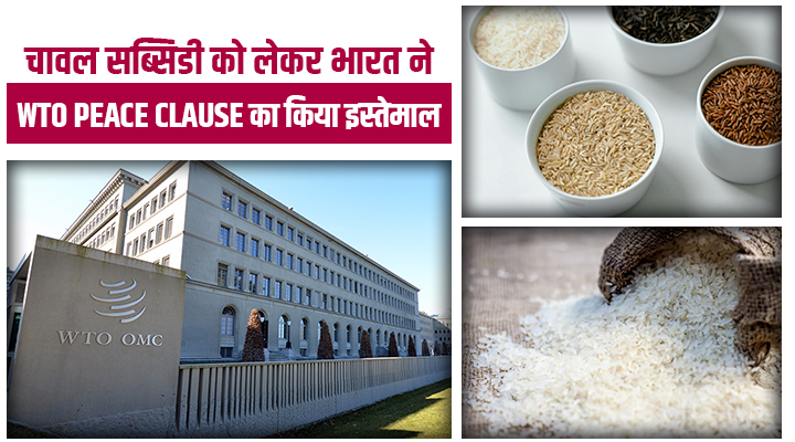 चावल सब्सिडी को लेकर WTO में भारत का वार: 7वीं बार बजा 'Peace Clause' का डंका, किसान हित में बड़ा कदम