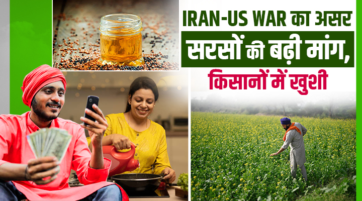 Iran-Israel-US War का असर: देश के कई हिस्सों में सरसों उगाने वाले किसान और व्यापारी मालामाल!