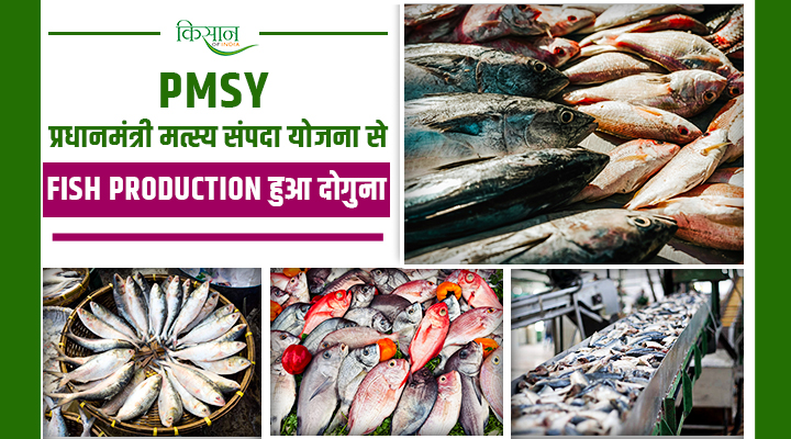 Pradhan Mantri Matsya Sampada Yojana का कमाल, 11 सालों में 195 लाख टन उत्पादन, 65 हज़ार करोड़ का एक्सपोर्ट