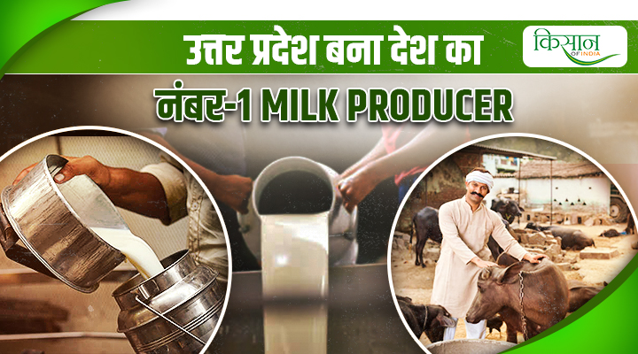 यूपी बना देश का नंबर-1 Milk Producer, सूबे की महिलाएं बनीं तकदीर बदलने वाली हीरोइन