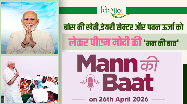 Mann Ki Baat: बांस से बदलेगी किस्मत, डेयरी से होगी तरक्की: पीएम मोदी का किसानों के लिए नया फॉर्मूला