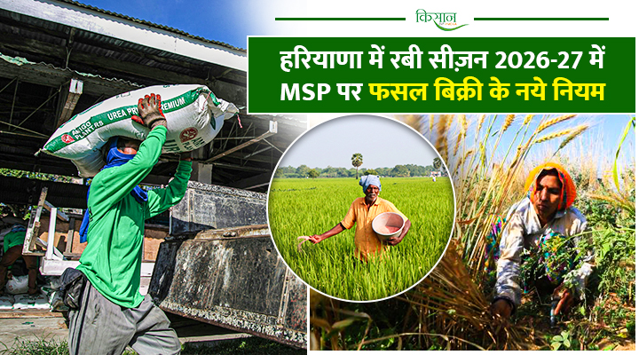 Rabi Season 2026-27 in Haryana: गेहूं और सरसों की MSP पर ख़रीद शुरू, किसानों के लिए ज़रूरी शर्तें और नई व्यवस्था