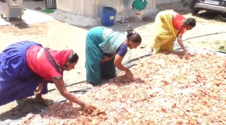 PMFME Scheme: बुरहानपुर के अभिषेक बने सफ़ल उद्यमी, केला-प्याज पाउडर यूनिट से लाखों की कमाई