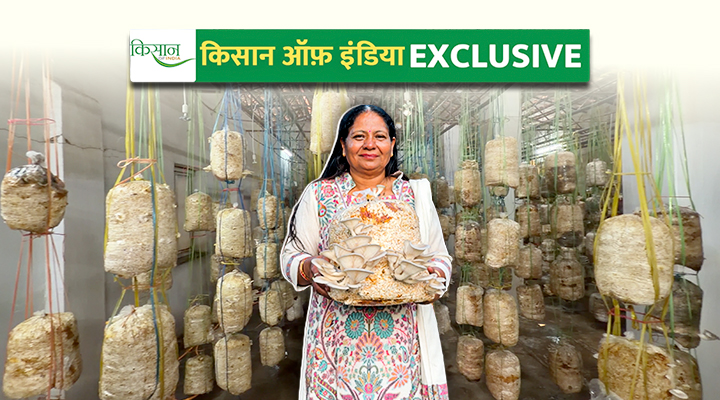 High-tech spawn lab बनाने वाली छत्तीसगढ़ की नम्रता के Mushroom Madam बनने की कहानी