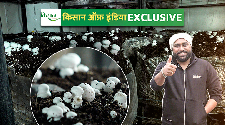 नौकरी छोड़ मशरूम के लिए कंपोस्ट बनाने वाले उत्तराखंड के शिवम लोगों को देते हैं मुफ्त प्रशिक्षण