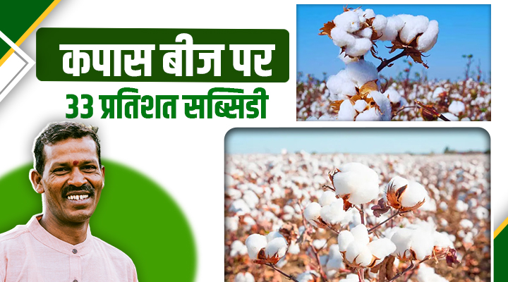 पंजाब में कपास बीज पर सब्सिडी