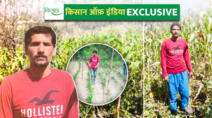 प्राकृतिक खेती Natural Farming