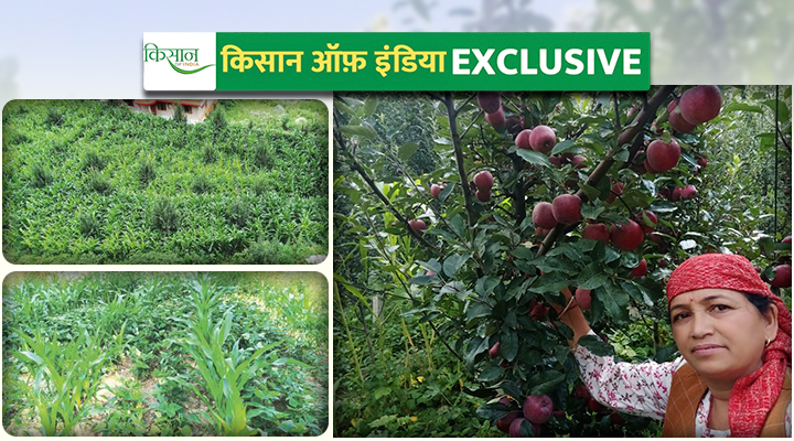 प्राकृतिक खेती Natural Farming
