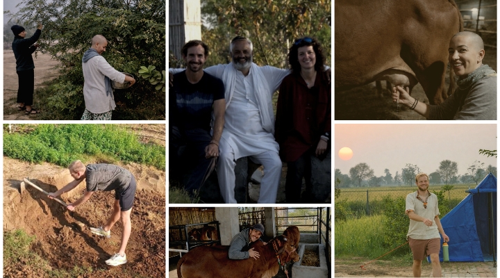 प्राकृतिक खेती