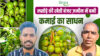 रायसेन में ‘उन्नत कृषि महोत्सव 2026’ का शुभारंभ: आधुनिक तकनीक, जैविक खेती और किसान सशक्तिकरण पर जोर