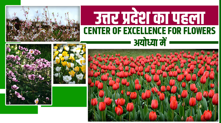 अयोध्या में खुलेगा Center of Excellence for Flowers, यूपी सरकार का महत्वाकांक्षी प्रोजेक्ट