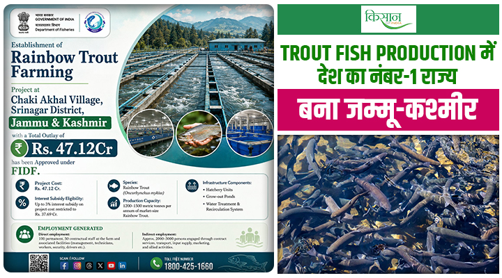Trout Farming ने बदली जम्मू-कश्मीर की तकदीर, जानिए कैसे ब्लू इकोनॉमी का ठंडे प्रदेशों में नया ज़ोर