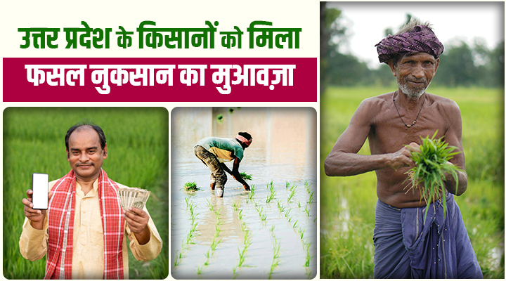 यूपी सरकार का किसानों को तोहफा: सीधे खातों में आएंगे प्राकृतिक आपदाओं से बर्बाद हुई फसलों की क्षतिपूर्ति रकम