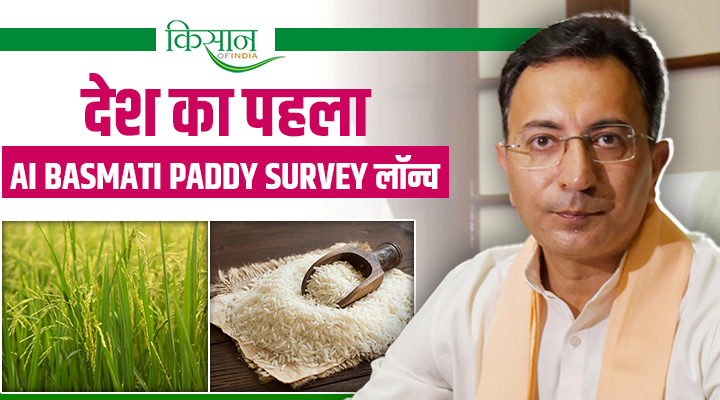इंडिया का पहला AI-Based Basmati Paddy Survey Project हुआ लॉन्च, 40 लाख हेक्टेयर ज़मीन होगी कवर