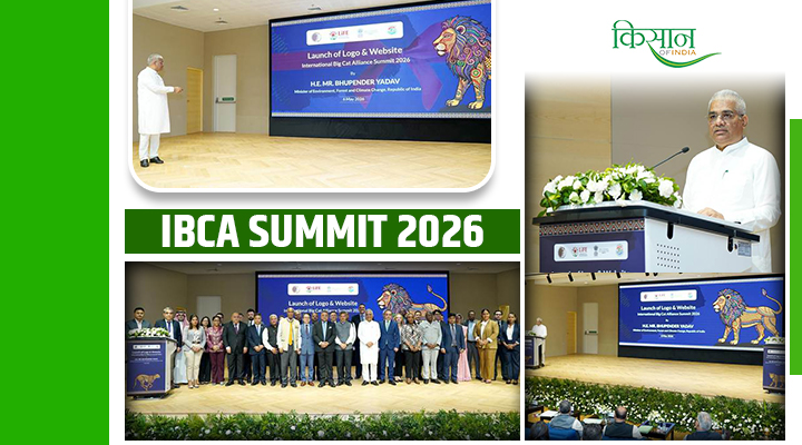 IBCA Summit 2026