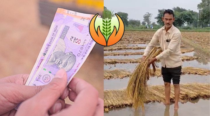 प्रधानमंत्री फसल बीमा योजना से किसानों को बड़ी राहत, 464 कृषकों को मिली ₹2.45 करोड़ की क्षतिपूर्ति