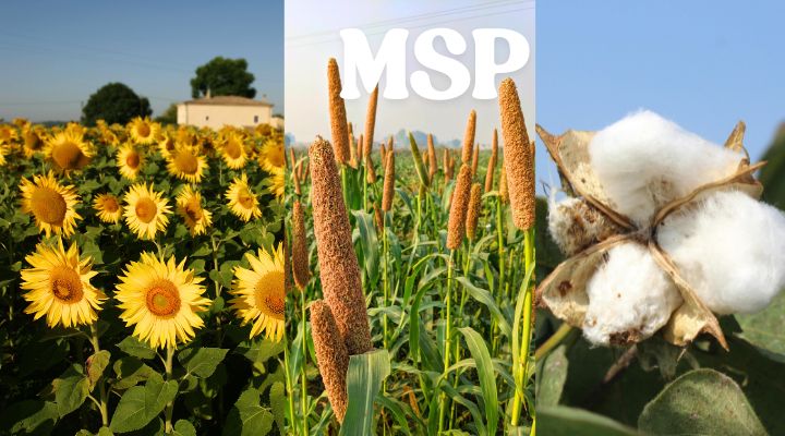 Kharif crops MSP 2026-2027