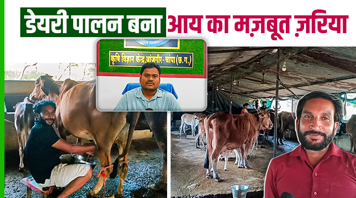 डेयरी पालन Dairy Farming