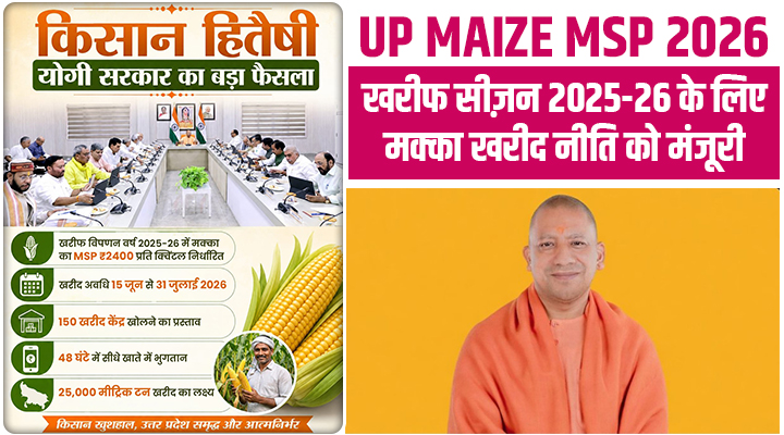 योगी कैबिनेट का बड़ा फैसला: Kharif Marketing Season 2025-26 के लिए मक्का ख़रीद नीति हुई मंजूर
