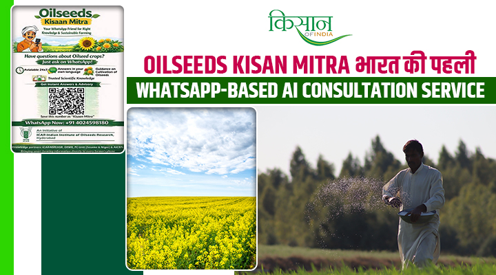 मोबाइल पर मिलेगी तिलहन खेती की एक्सपर्ट सलाह: 'Oilseeds Kisan Mitra' हर किसान का नया दोस्त