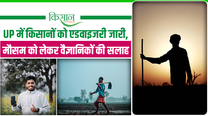 UPCAR ने मौसम की चुनौतियों को देखते हुए किसानों के हित में दिये दूरदर्शी सुझाव, Toll-Free हेल्पलाइन नंबर भी जारी