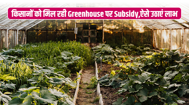 Greenhouse And Shade-net House Subsidy: राजस्थान सरकार किसानों को दे रही 70 फीसदी सब्सिडी, जल्द करें अप्लाई