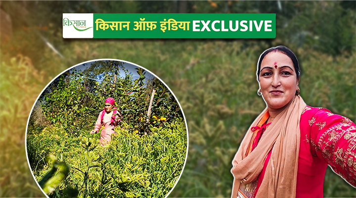 प्राकृतिक खेती Natural Farming