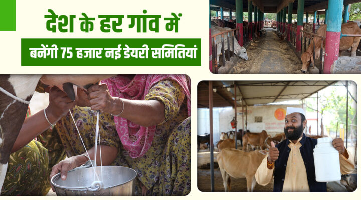 'White Revolution 2.0' Campaign: देश के हर गांव तक डेयरी सहकारी समितियों का जाल बिछाने का टारगेट