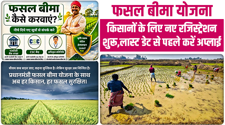 प्रधानमंत्री फसल बीमा योजना के लिए नये रजिस्ट्रेशन शुरू हुए, जानिए तरीका और कब तक कर सकते हैं अप्लाई