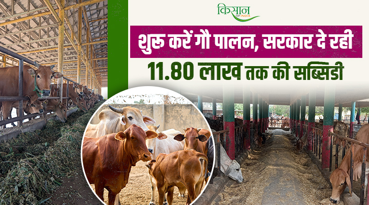 बंपर मौका! स्वदेशी गायों की डेयरी खोलने पर यूपी सरकार दे रही 11.80 लाख रुपये की सब्सिडी, जानें अप्लाई करने की लास्ट डेट
