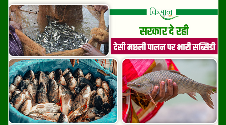 मत्स्य प्रजाति विविधीकरण योजना: बिहार सरकार देसी मछली पालन पर दे रही 60 फीसदी सब्सिडी, जानें आवेदन की आख़िरी तारीख़
