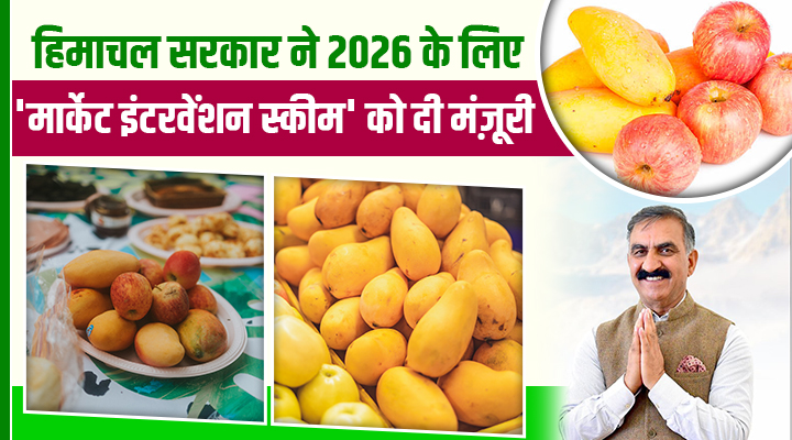 हिमाचल के बागवानों के लिए खुशख़बरी! Market Intervention Scheme 2026 के तहत फलों की ख़रीद तय