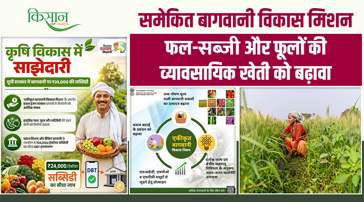समेकित बागवानी विकास मिशन (MIDH): पॉलीहाउस-शेड नेट हाउस की मदद से किसानों की आमदनी बढ़ाने की योजना