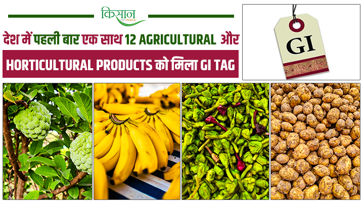 मध्य प्रदेश ने रचा कीर्तिमान: 12 उत्पादों को एक साथ मिला GI टैग, किसानों के लिए खुला सोने का दरवाजा